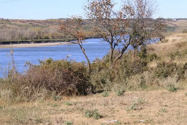 North Saskatchewan River near Petrofka Bridge